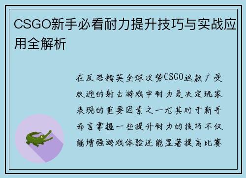 CSGO新手必看耐力提升技巧与实战应用全解析